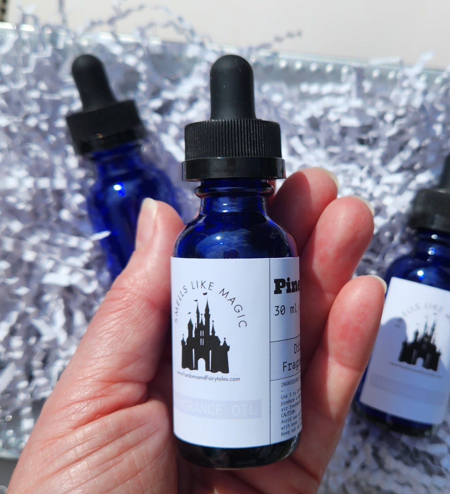 Preorder- Magical Theme Park and Fandom Inspired Diffuser Fragrance Oil - Floridian Lobby, Poly Lobby and more