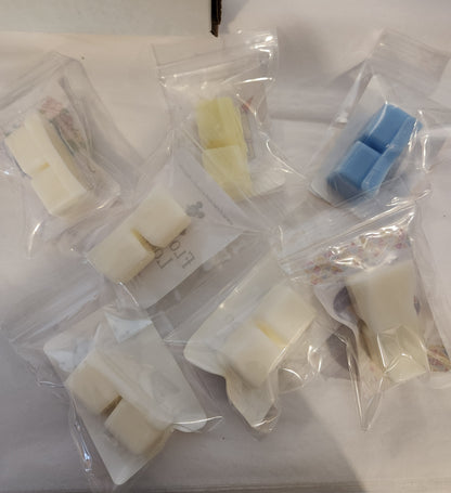 Magical Resorts Sampler- Sample Sizes of our Resort Collection Wax Melts