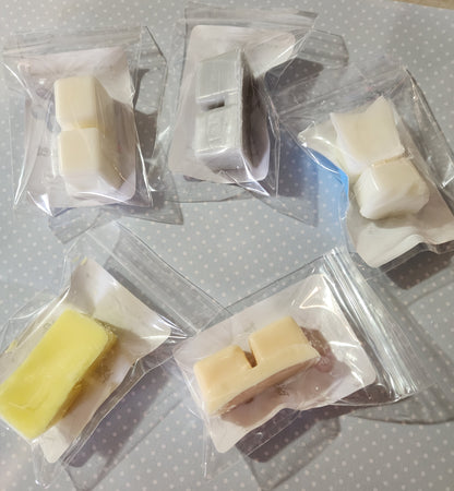 Preorder- Ships After January 3rd Mini Magical Theme Park Sampler- Our Top 5 Theme Park Scents