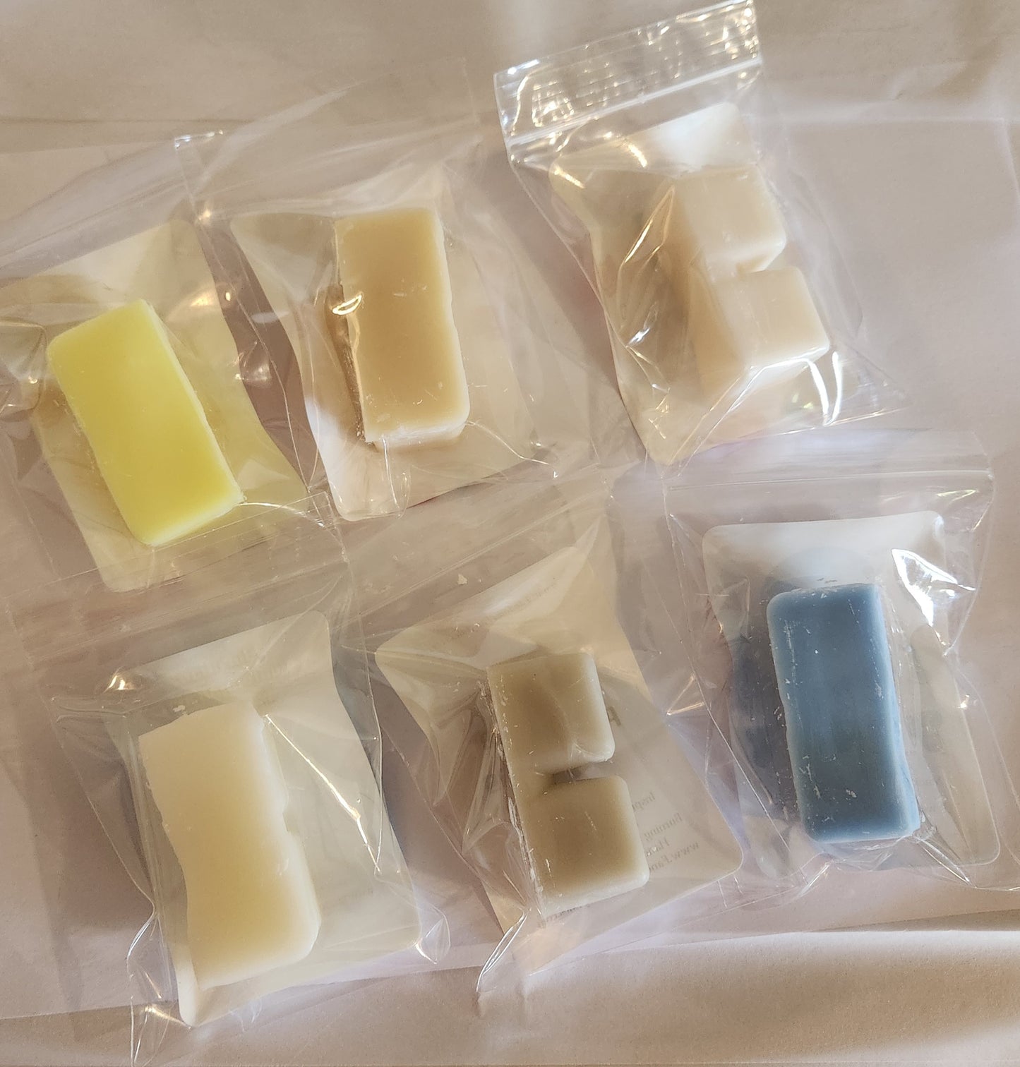 New Magical Theme Park Sampler Six Fabulous Theme Park Scented Wax Melts