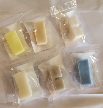 New Magical Theme Park Sampler Six Fabulous Theme Park Scented Wax Melts